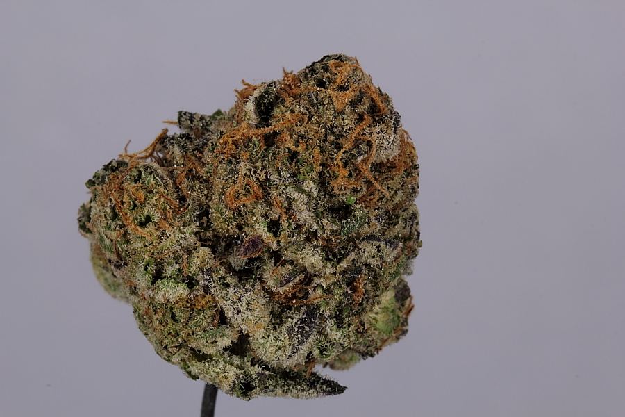 Cookiemonster0168