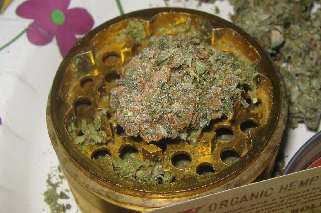 Cookienug730