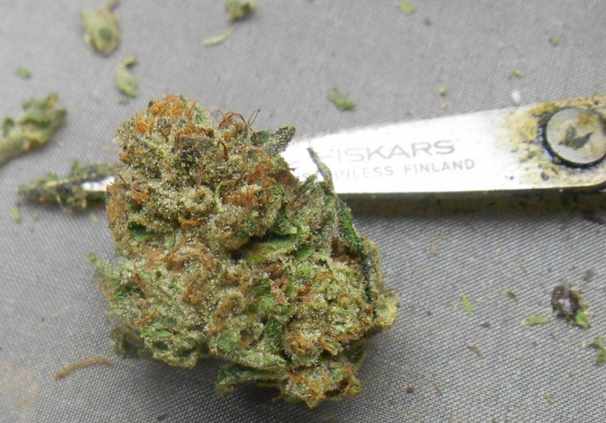 Cookieporn