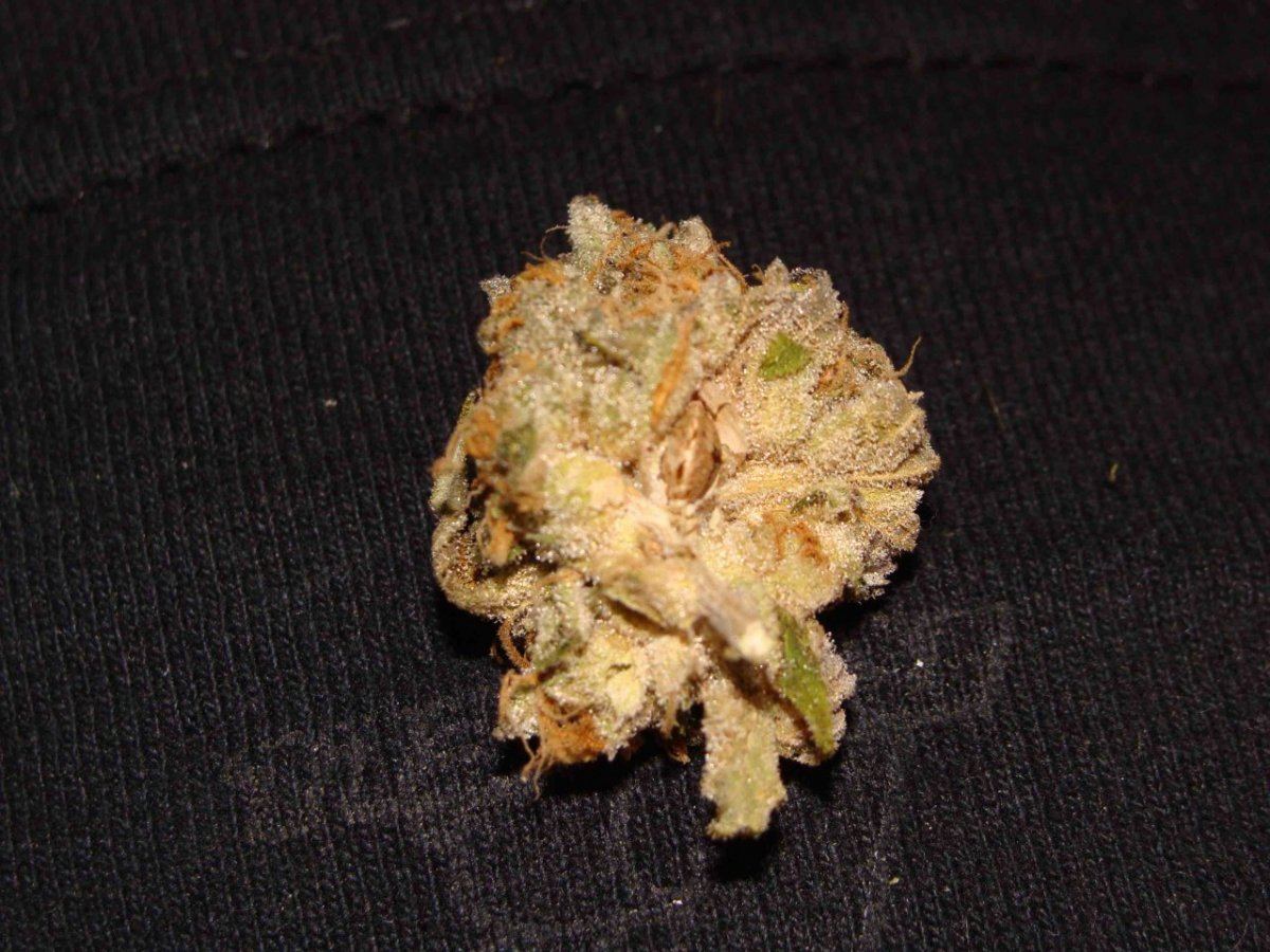 Cookieseed