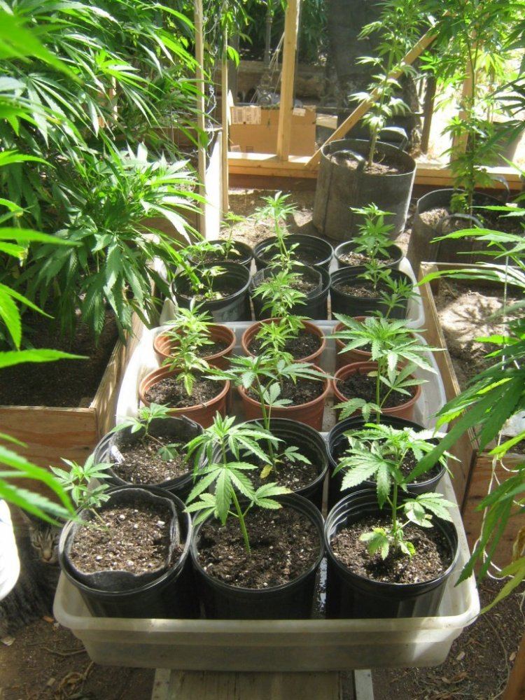 Cooksnewpots628