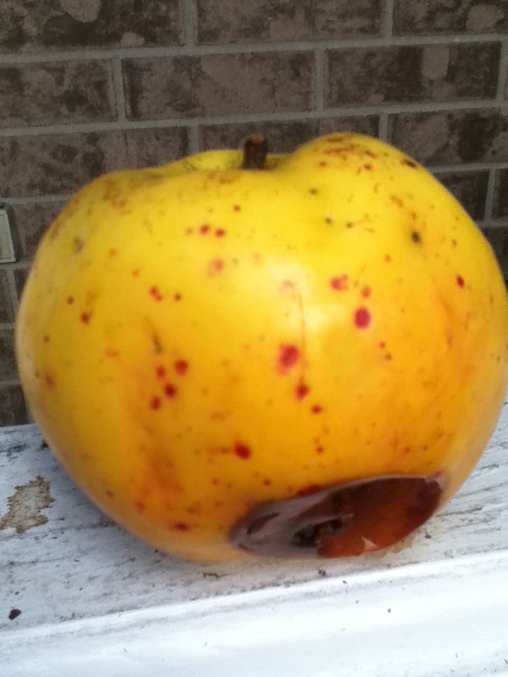 Cool apple