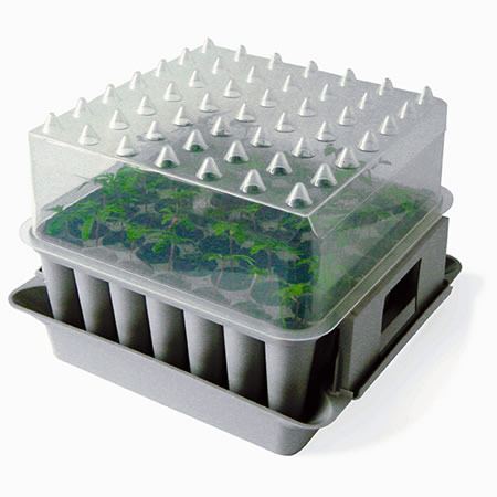 Cool propagator