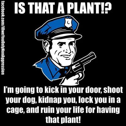 Cop1