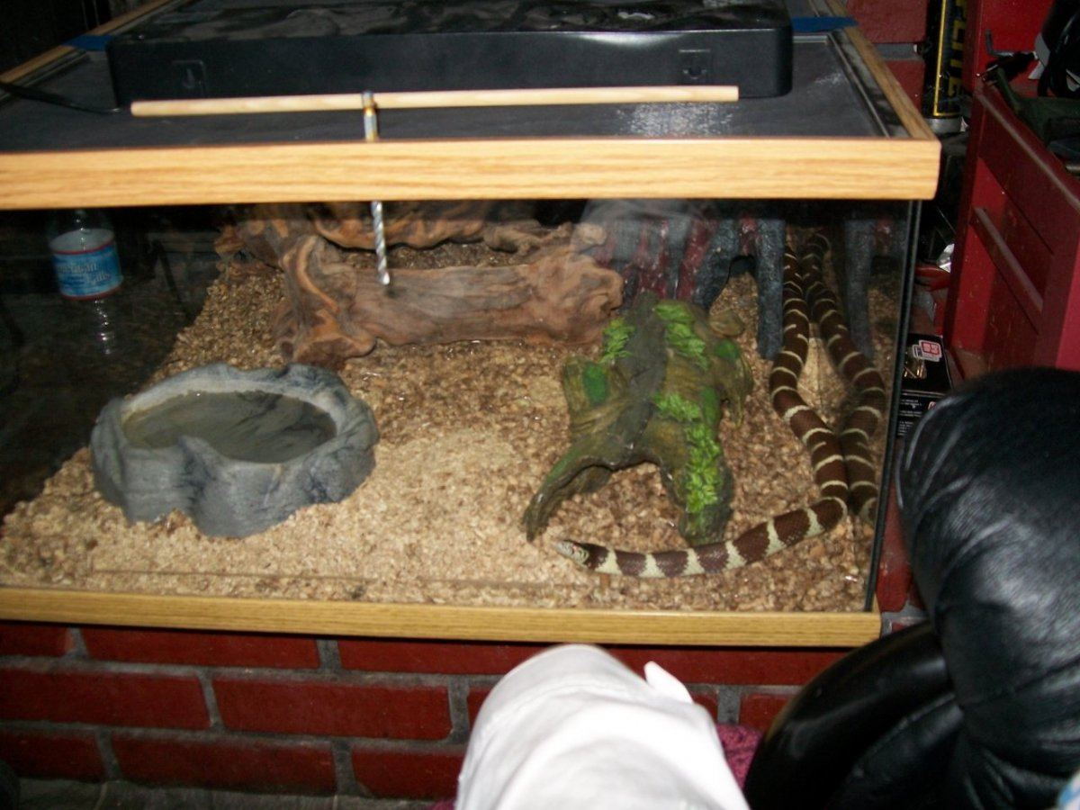Cort pics 023
