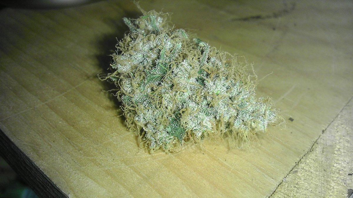 COT CANDY