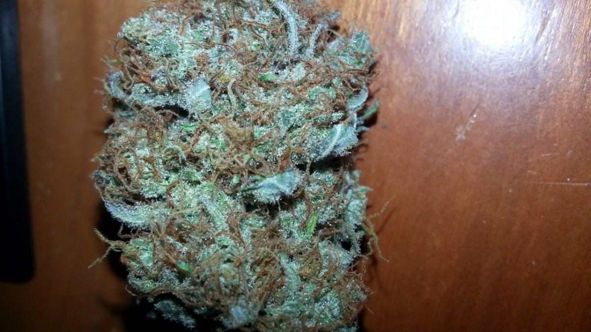 Cotton Candy