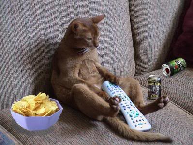 Couch potato