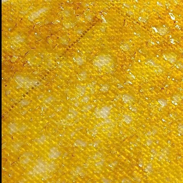 Coughshatterslick6016 n