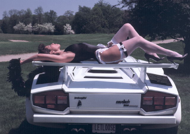 Countach  Lady