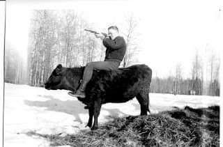 Cowshootin