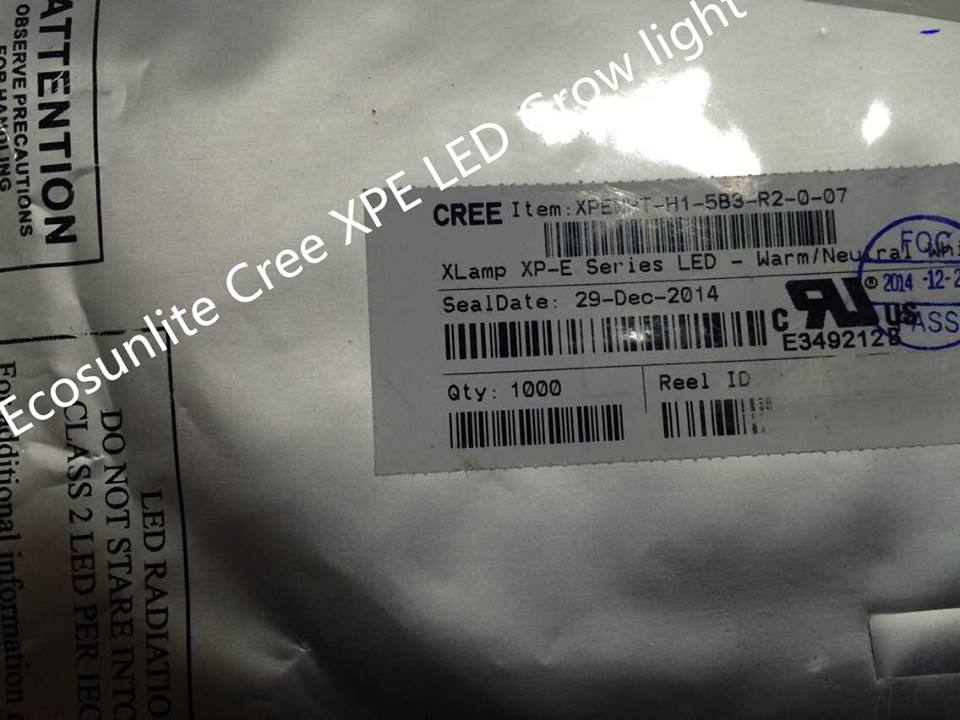 CREE LED02