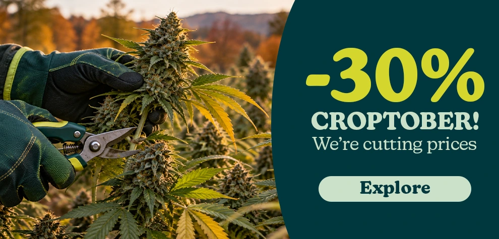 Croptober desktop en kopia
