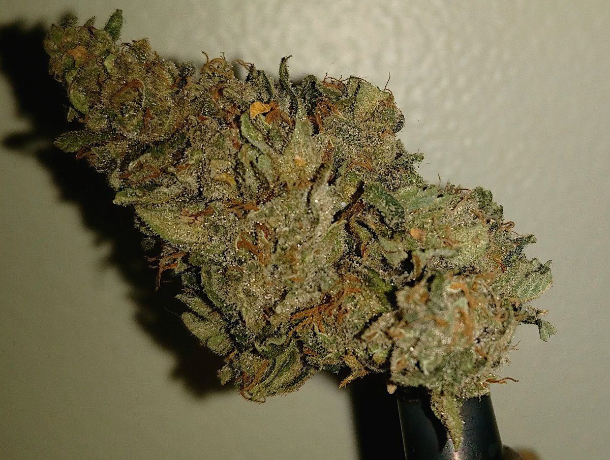 Crusher