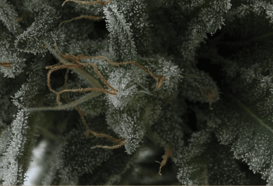Crystals