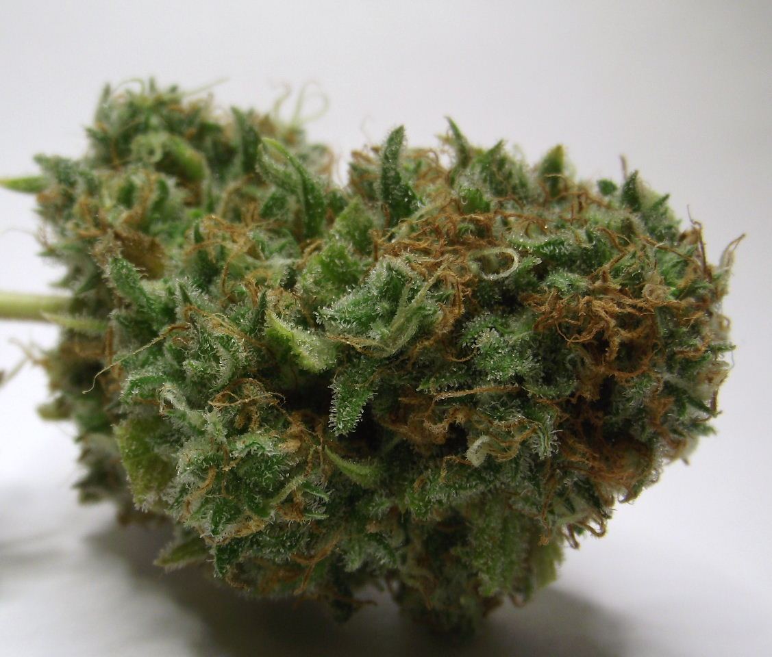 CS3