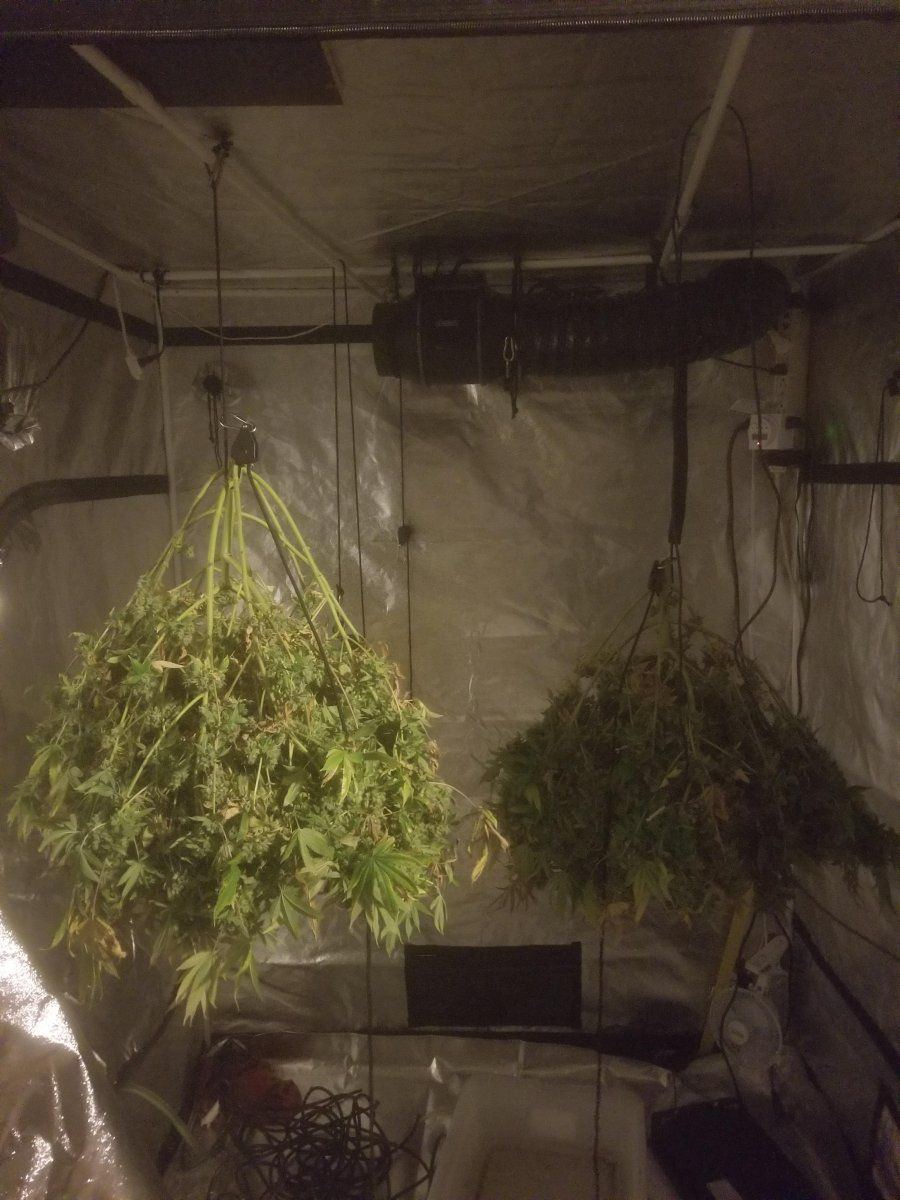 Cure stage 1