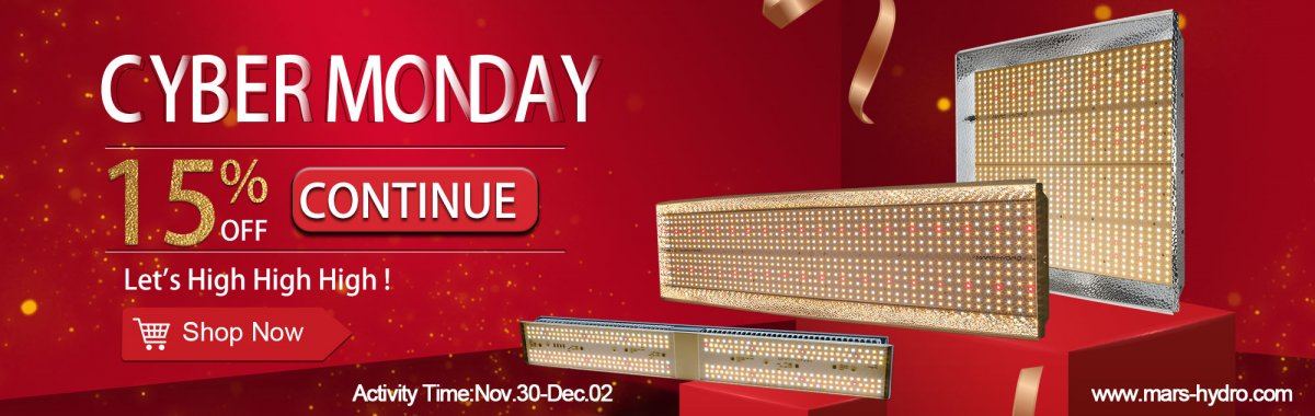 CYBER MONDAY02