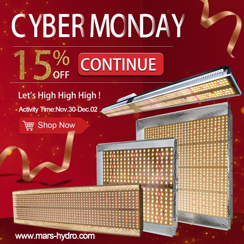 CYBER monday1500x1500