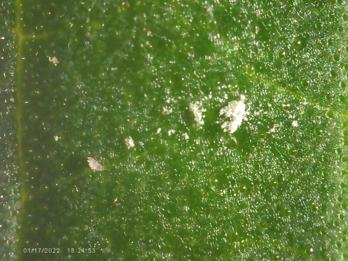 D406923C 4AD7 438E BF03 D466DC7EB54E