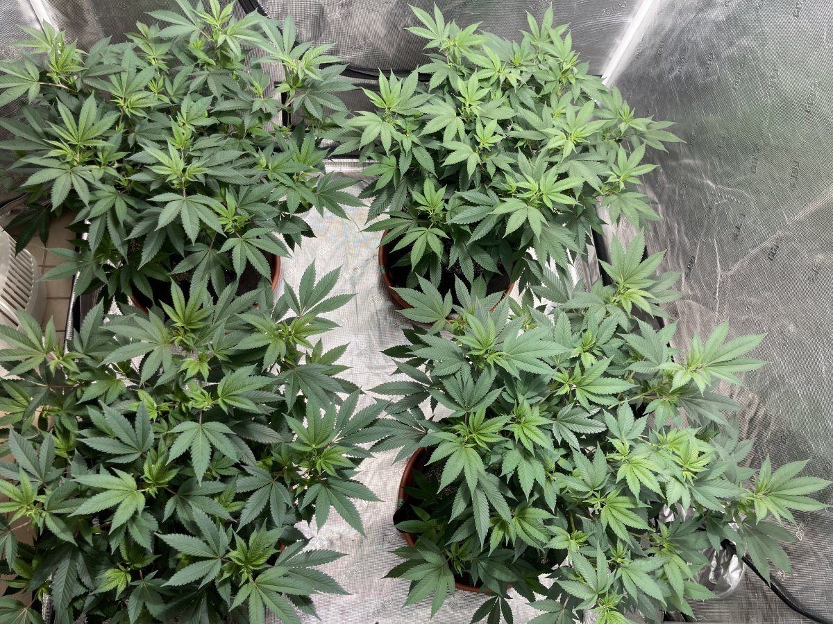 D70D1AFE 2EBC 41BB 8A25 DAA8EF68EB62