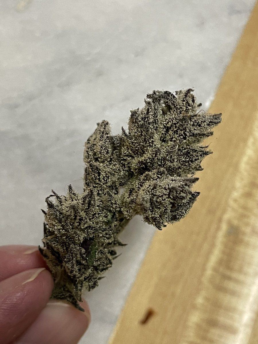DABB3D8D 8003 4423 BCF9 8C604BF8C843