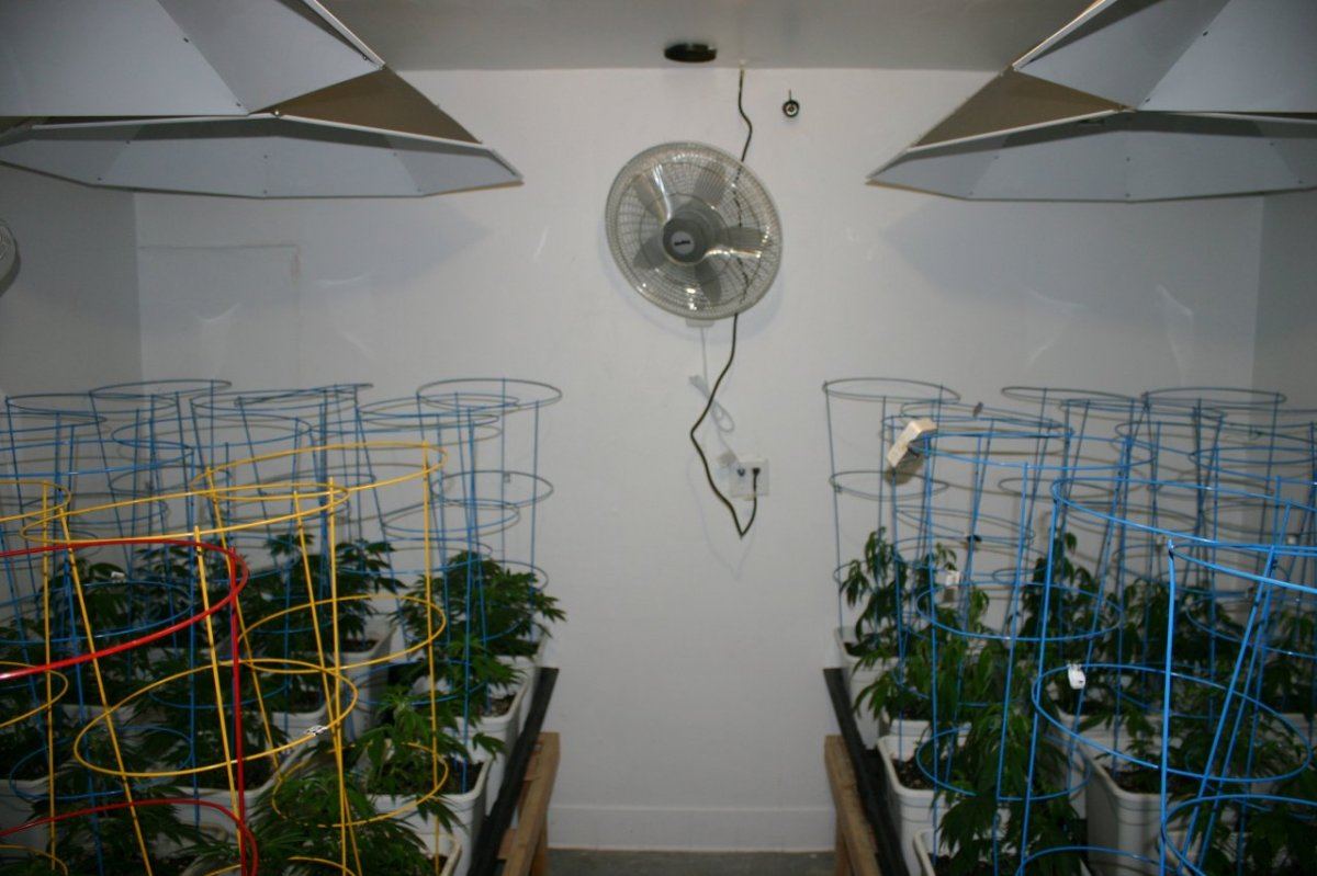 Danimals organics 18