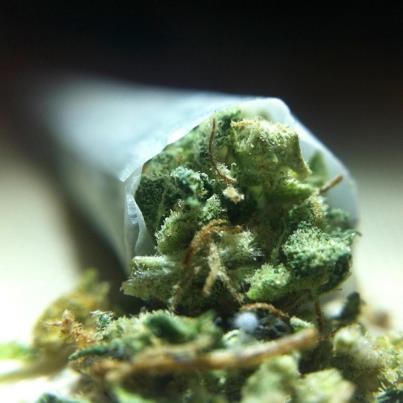 Dank