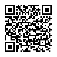 Darkhorse androidqr