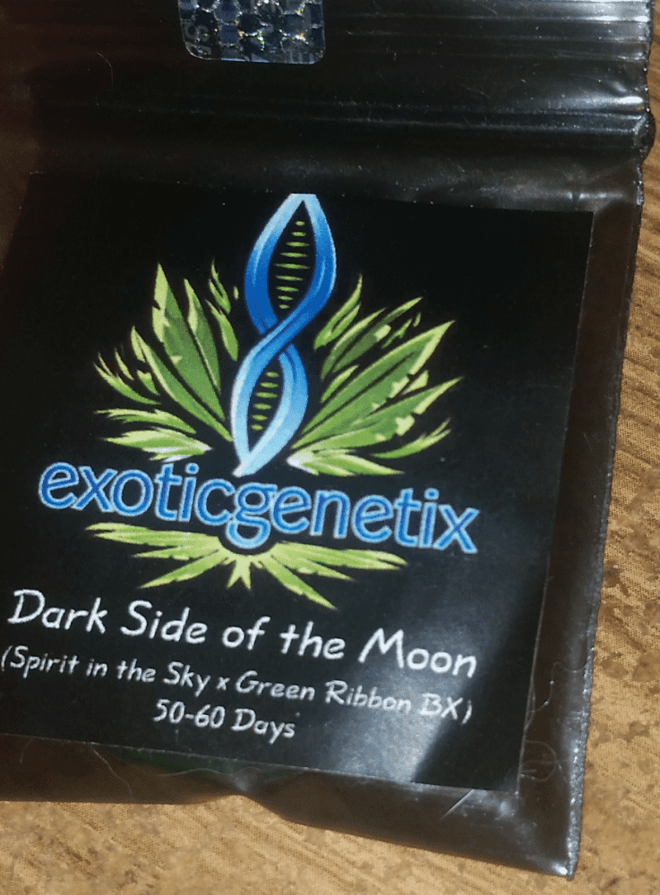 Darksideofmoon