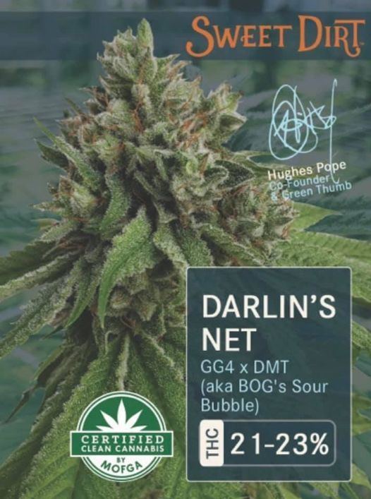 Darlins net cannabis strain gg4 dmt