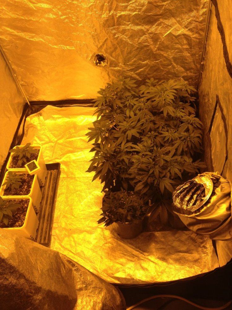 Day 1 tent