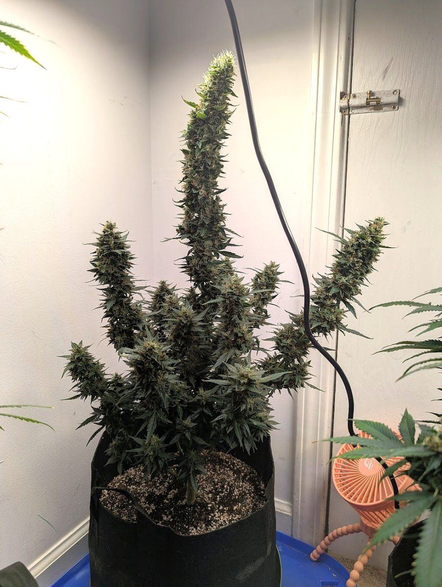Day 113 May 13
