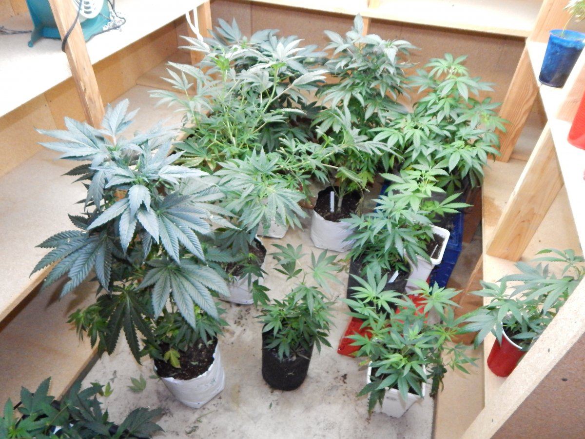 Day 12 12 600watt 004