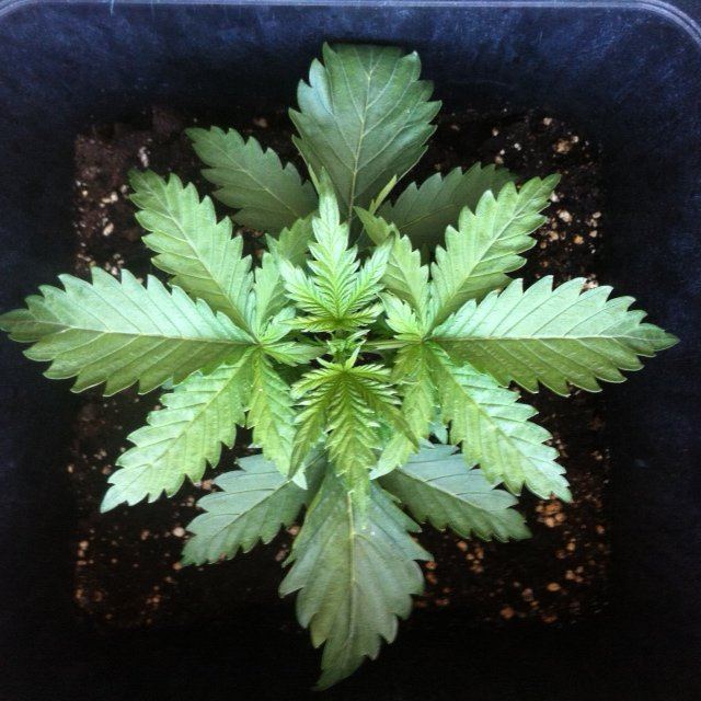 DAY 14