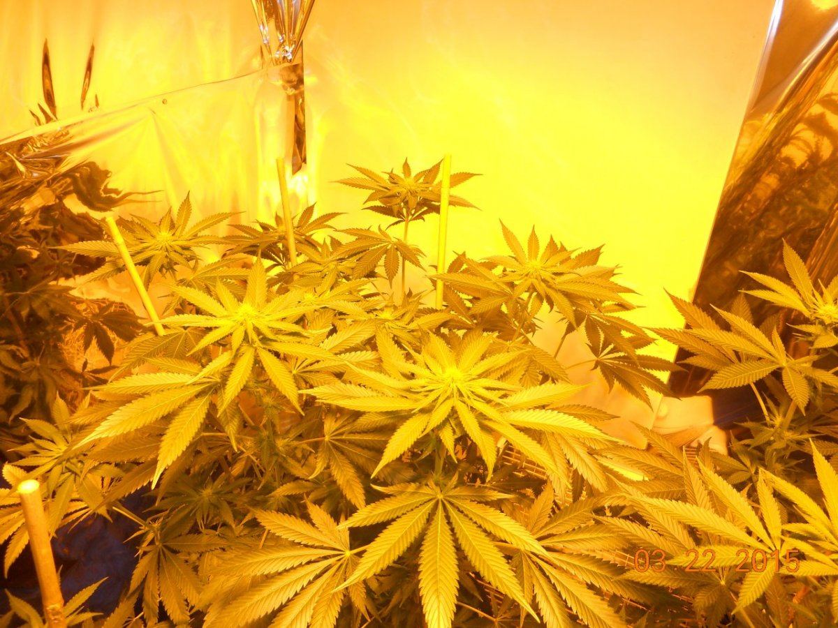 Day 18ish 005