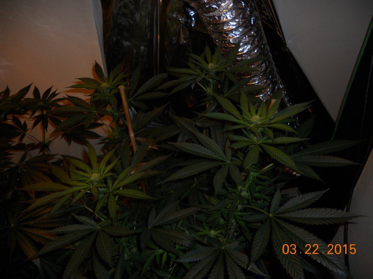 Day 18ish 007