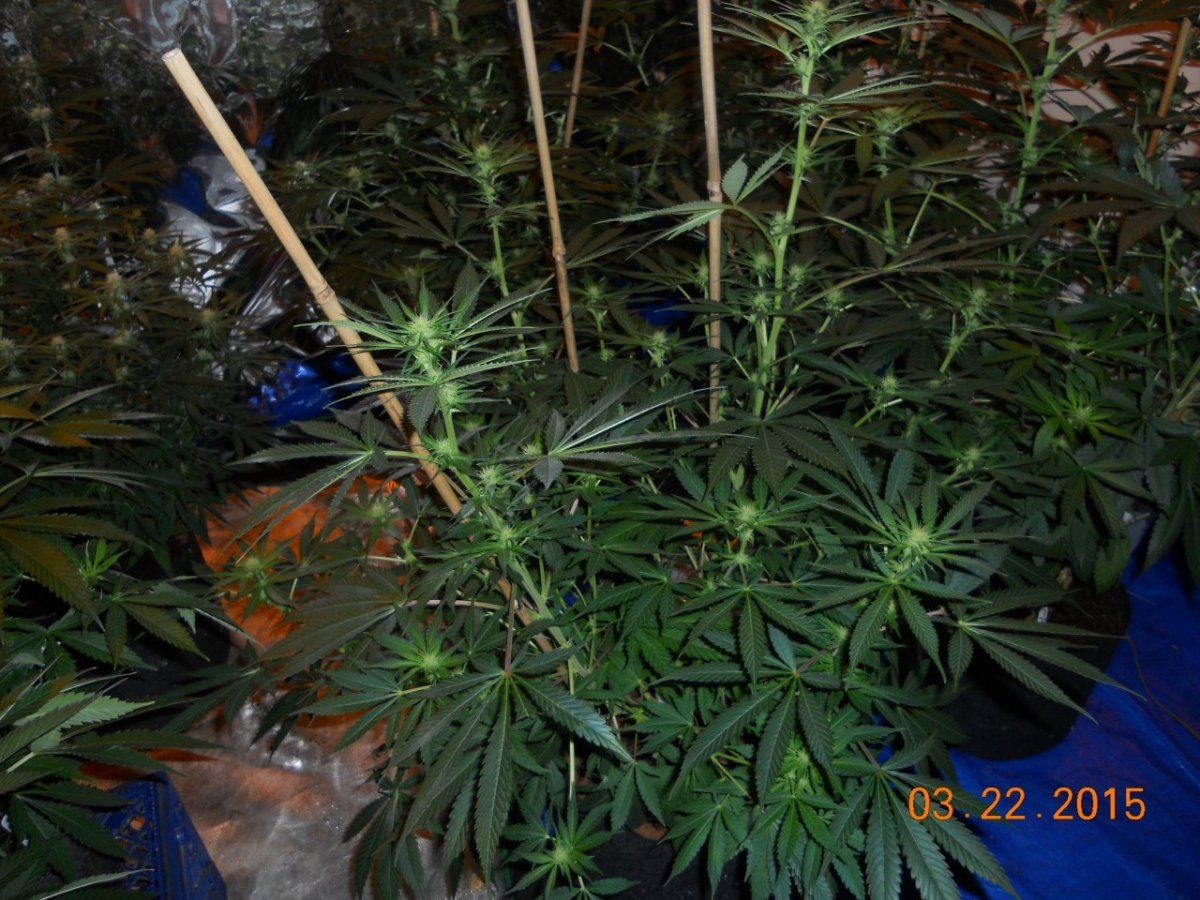 Day 18ish 010