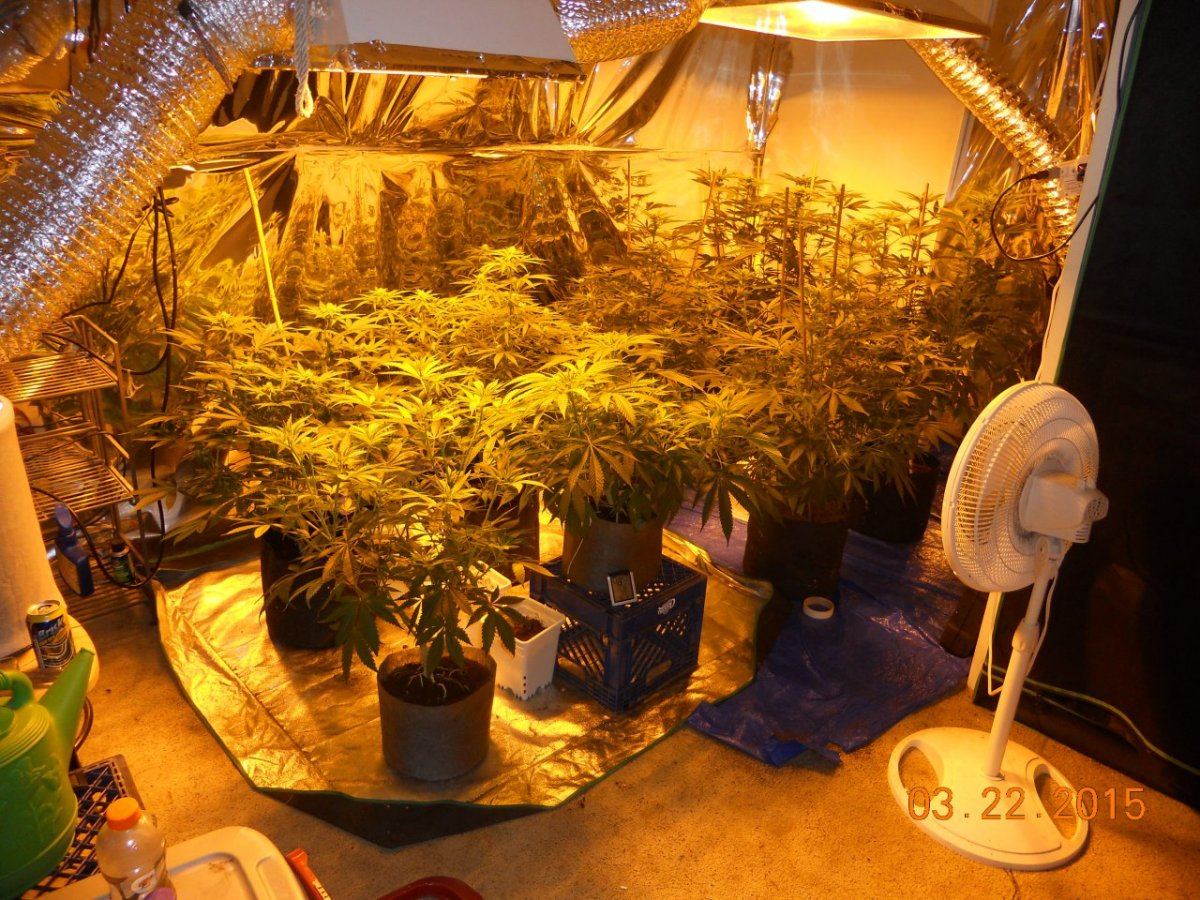 Day 18ish 011