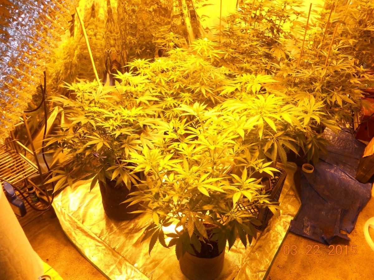 Day 18ish 012