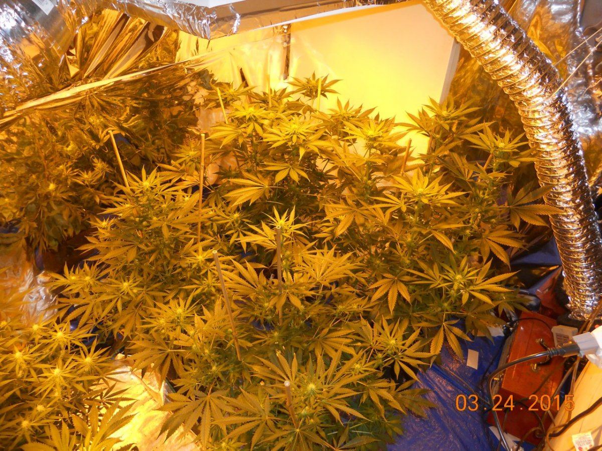 Day 19 003