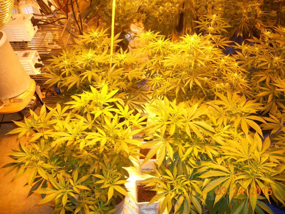 Day 19 004