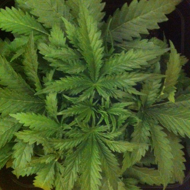 DAY 19