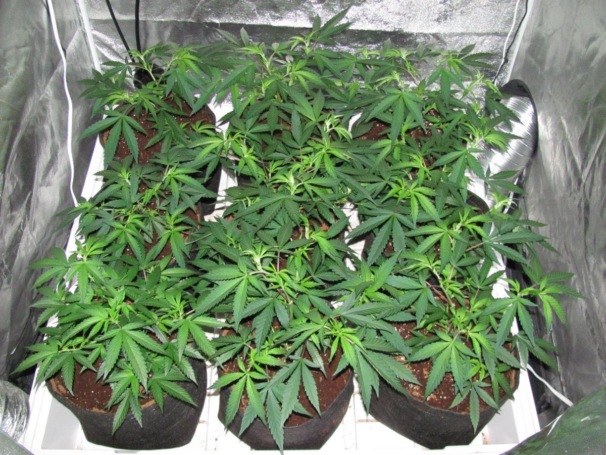 Day 1F