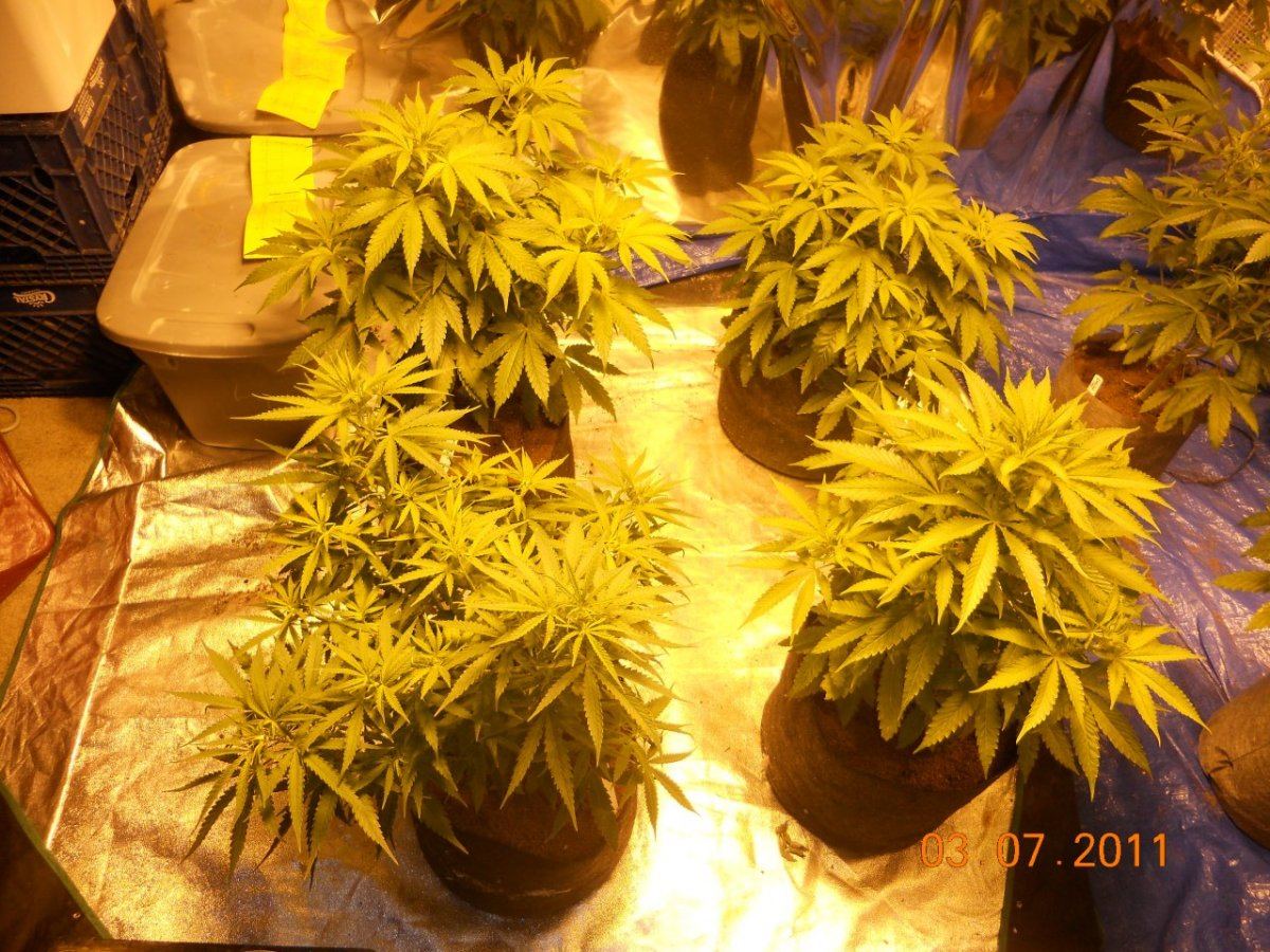 Day 2 001