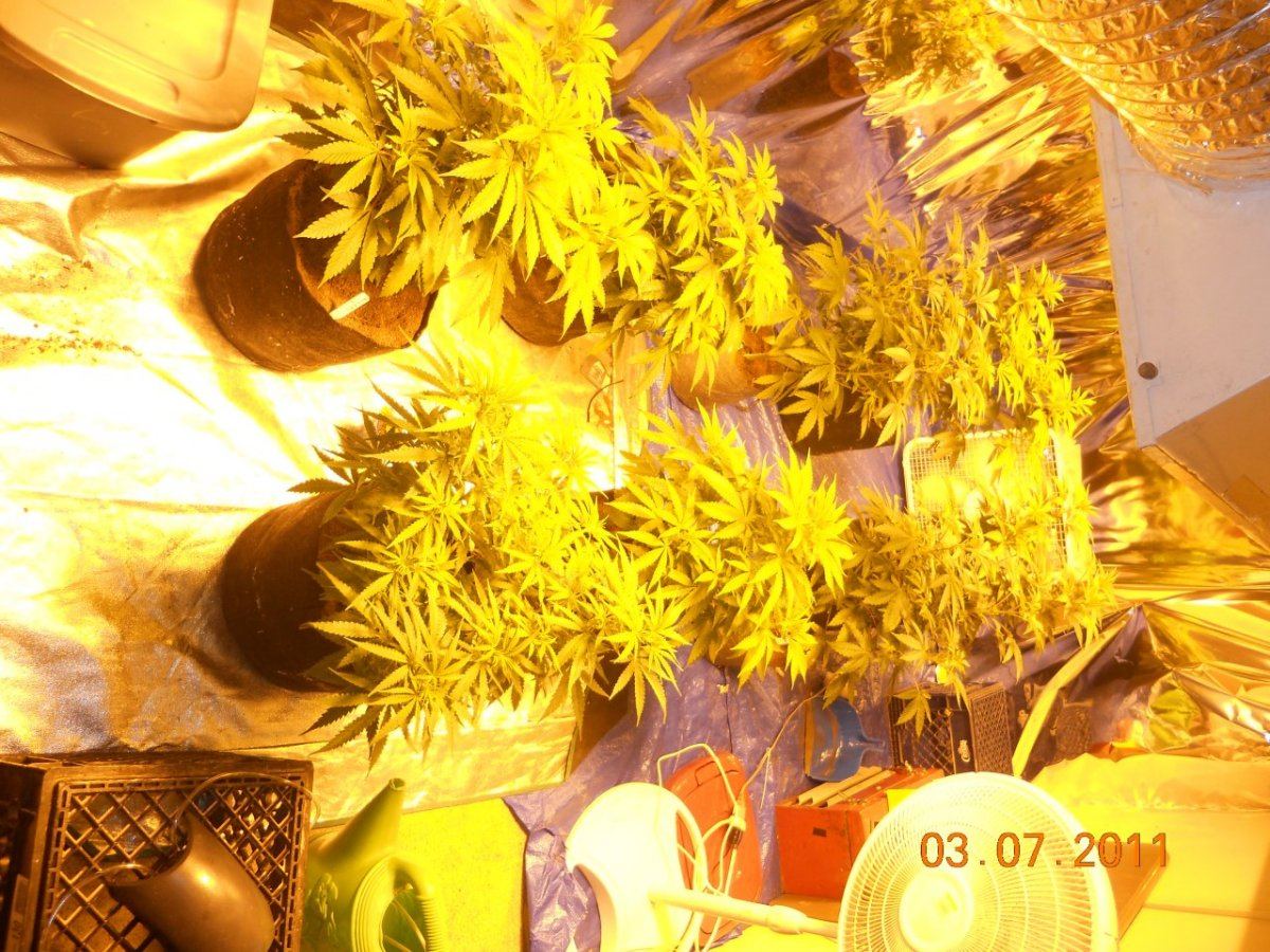 Day 2 003