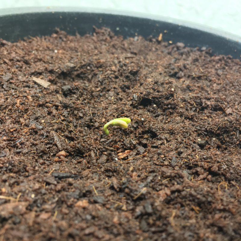 Day 2