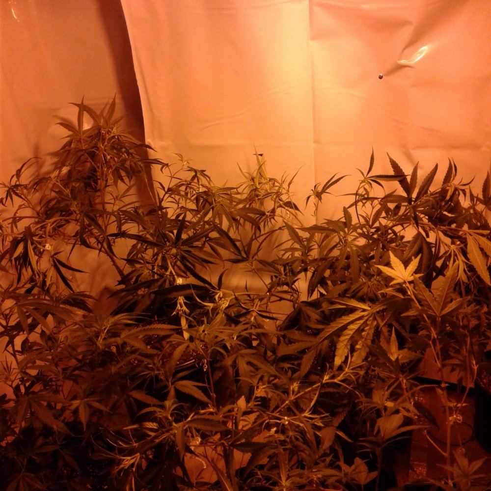 Day 2 lst