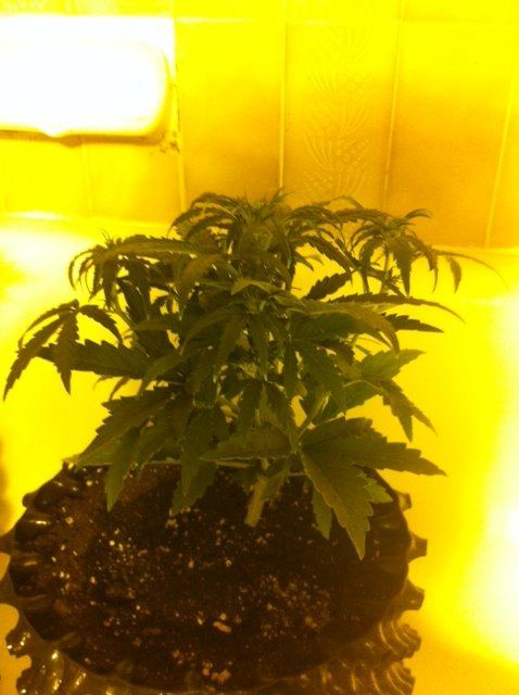 DAY 221