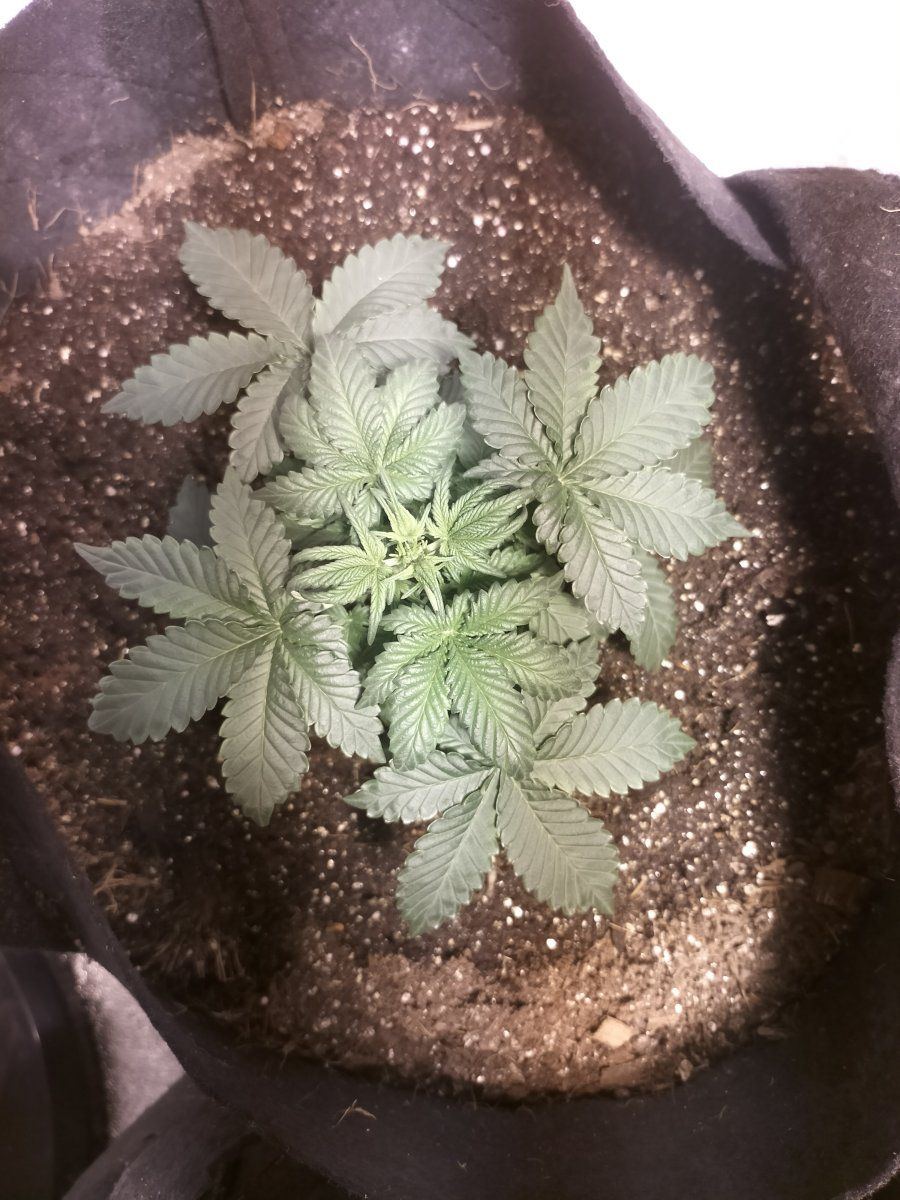 Day 22 2